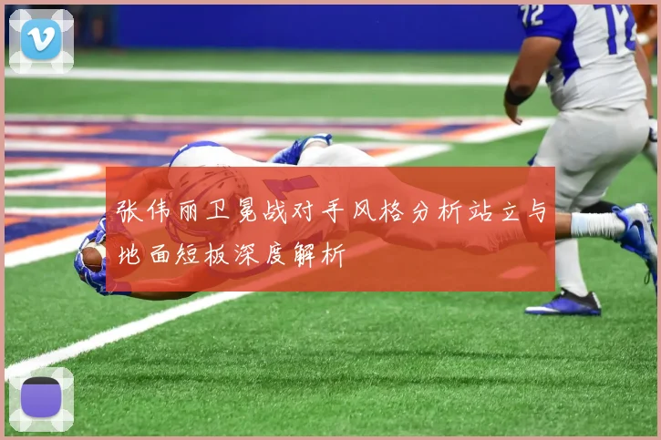 张伟丽卫冕战对手风格分析站立与地面短板深度解析