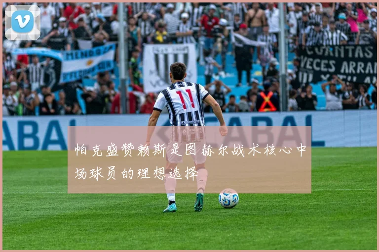 帕克盛赞赖斯是图赫尔战术核心中场球员的理想选择
